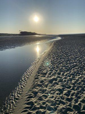 Seafood! The beach,  Where fresh shrimp live, oysters