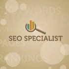 SEO Specialist Ann Arbor