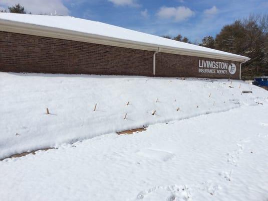 Winter at Livingston Insurance