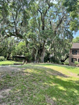 Middleton Place at Pineapple Tour