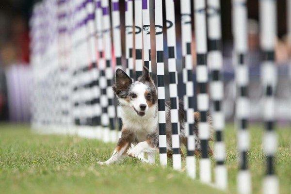 Agility!!