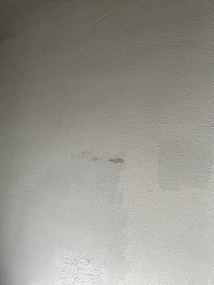 Stains on ceiling.