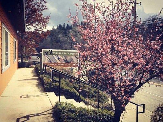 Spring time at ASiF!