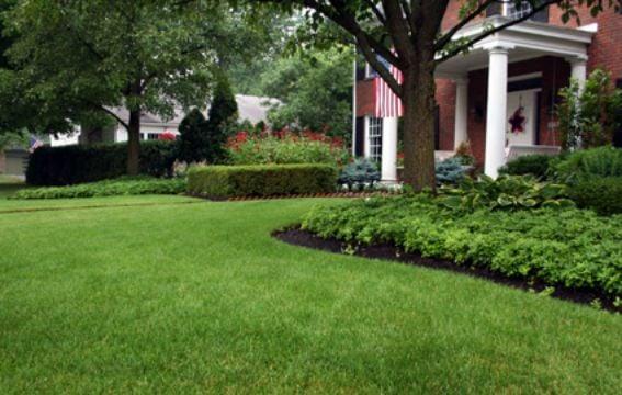 Lawn Services  Sugar Hill GA