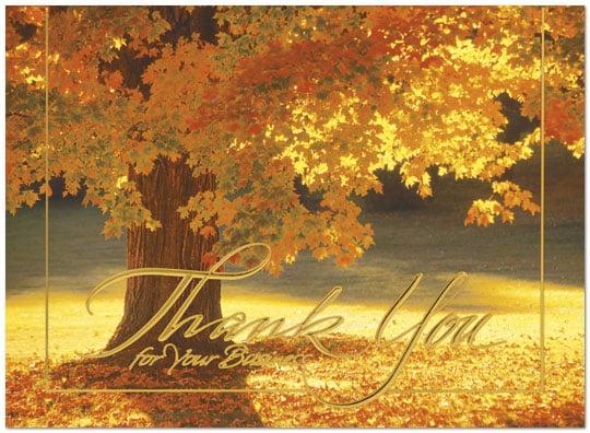 Radiant Thank You Thanksgiving Card