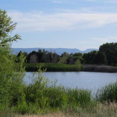 Community pond central to Lake Montezuma.