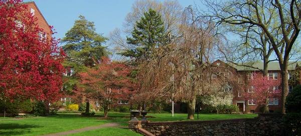 English Village Court Yard