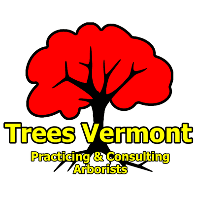 Trees Vermont: Affordable ~ Sustainable ~ Responsible. Tree Trimming, Removal & Treatment in Burlington, Colchester, Essex and more!