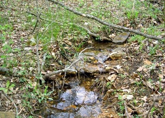 Picture of a creek on one of our lands for sale by Homestead Crossing Inc