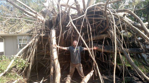 Working on hurricane cleanup in Tampa.