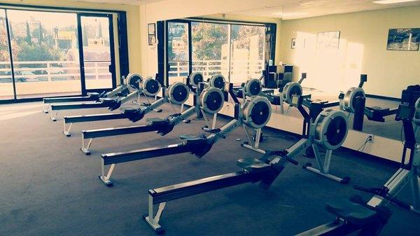 Our erging studio has a total of 8 rowing machines available for use in private and semi private lessons