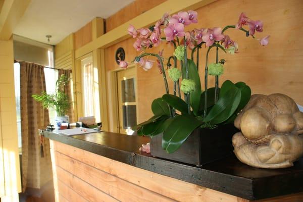 Front Desk of Dharma Health Institute