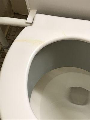 Poop that was on the toilet seat for 3 days until I cleaned it up.