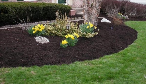 Spring is 5 days away!  we are wrapping up a mulch job for a customer And looking  forward to warmer days ahead.