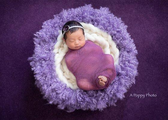 Newborn Photography with A Poppy Photo