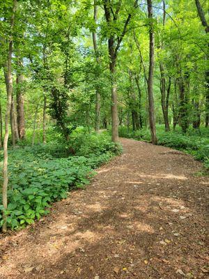 Mulch trail