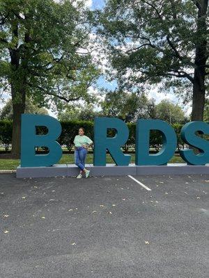 Birds