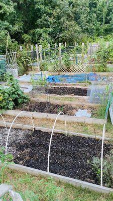 Community Garden Plots