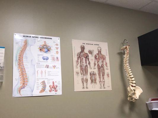 Elwert Chiropractic