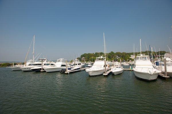 Fiddler's Cove Marina