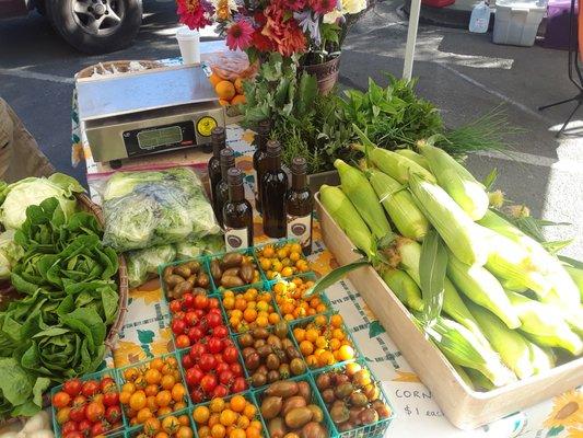 Healdsburg Farmer's Market