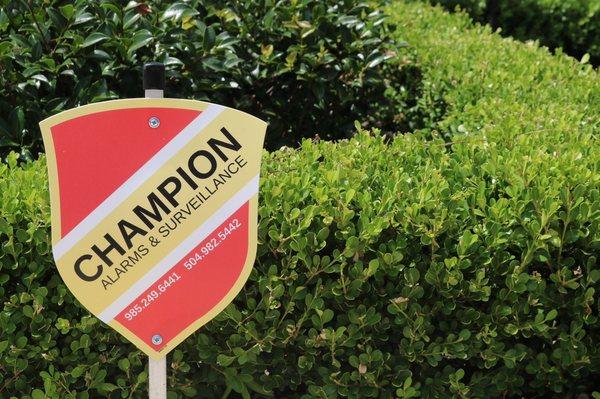 Champion Alarms & Surveillance