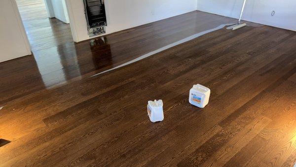 Hard floor refinish