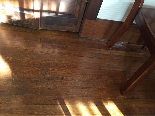 Before picture, pet hair on wooden flooring.