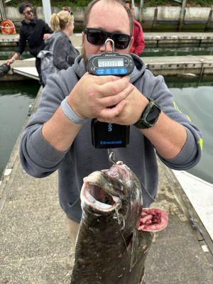 Pacific Halibut