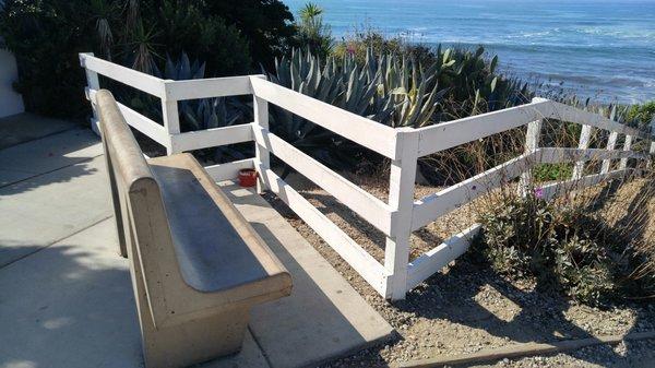 Bench with a View