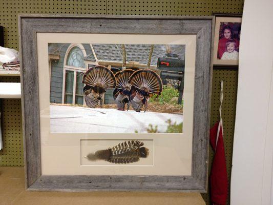 Blue Ribbon Custom Frame Shop The