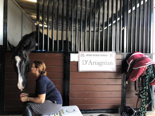 Horse show fun!