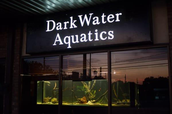 DarkWater Aquatics