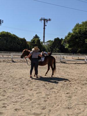 Equestrian In Training