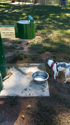 Water fountain