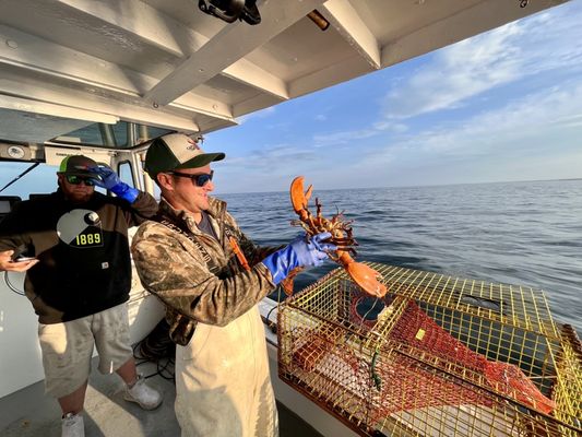 Captain Bobs Lobster Tours & Fishing Charters