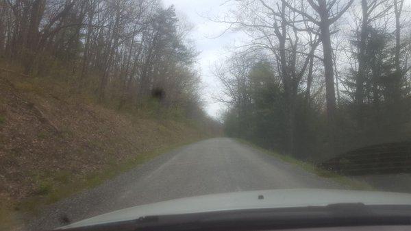 Long dusty stone filled entrance road.