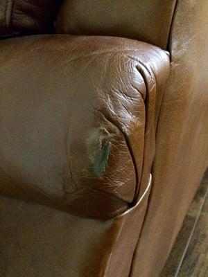 More damage on my leather couch