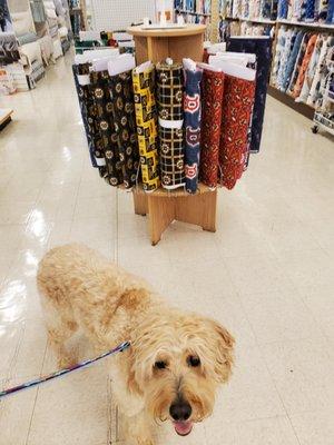 Good dogs welcome at Joann!