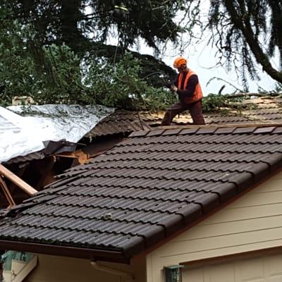 2015 Storm Damage - getting more branches cleaned up.