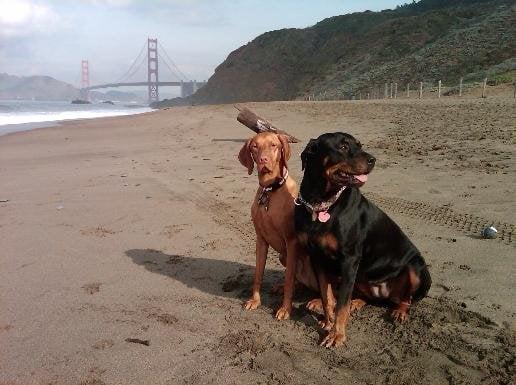 Enjoying Baker Beach (Thomas & Isa)