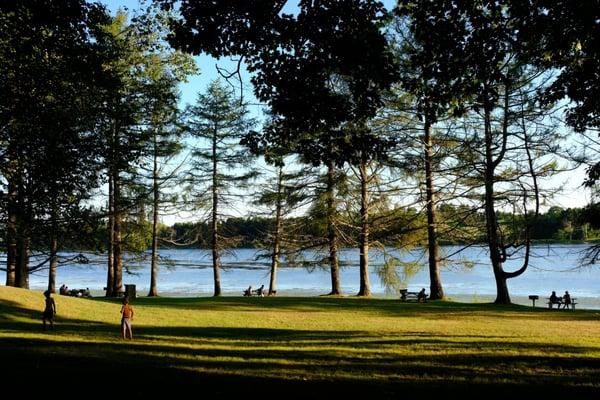 Picnic area with grills and tables.