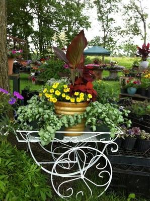 Finished and custom containers, perennials