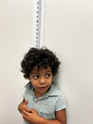 My 3 yr old checking his height.