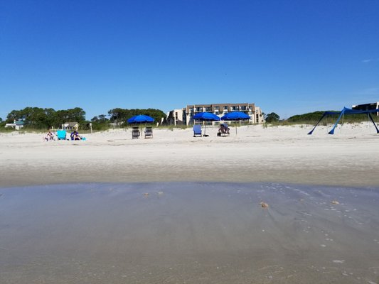 Blue chairs and umbrellas from Shore Beach Service