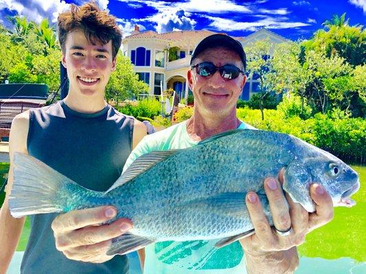 Black Drum Caught with Capn Doug of Tearin' Em Up! Fishing Charters in Sarasota Florida