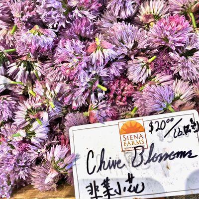 CHIVE BLOSSOMS: From Siena Farms' stand at Boston Public Market