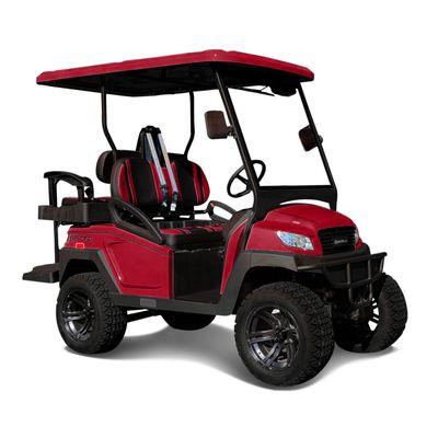 www.coastlinegolfcarts.com/bintelli.html