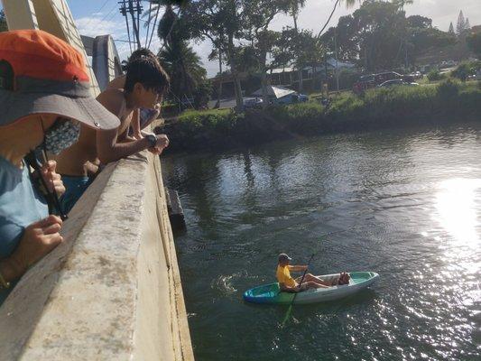 Bridging the Gap since 1921... Rainbow Bridge....... over Anahulu Stream of Haleiwa Town, Oahu =) 13 December 2020...... @1551:)