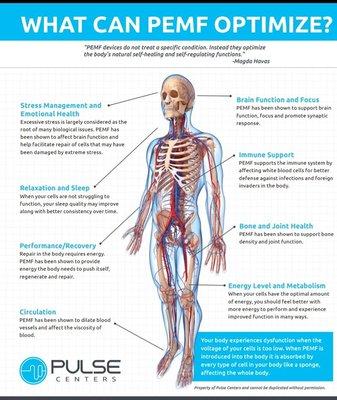 Kinetic Touch Medical